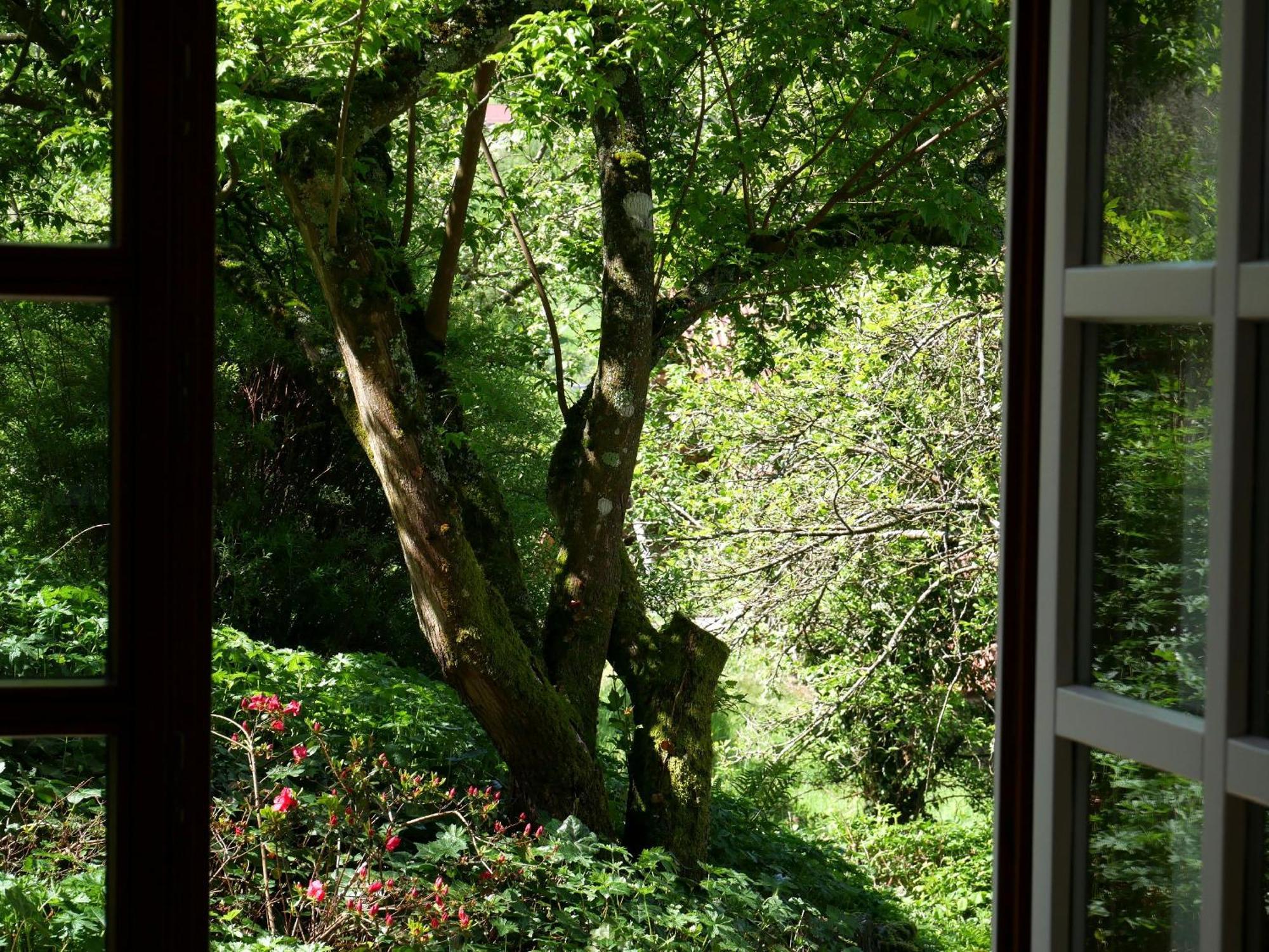 Ferienhaus Straubehof Sasbachwalden Exteriér fotografie