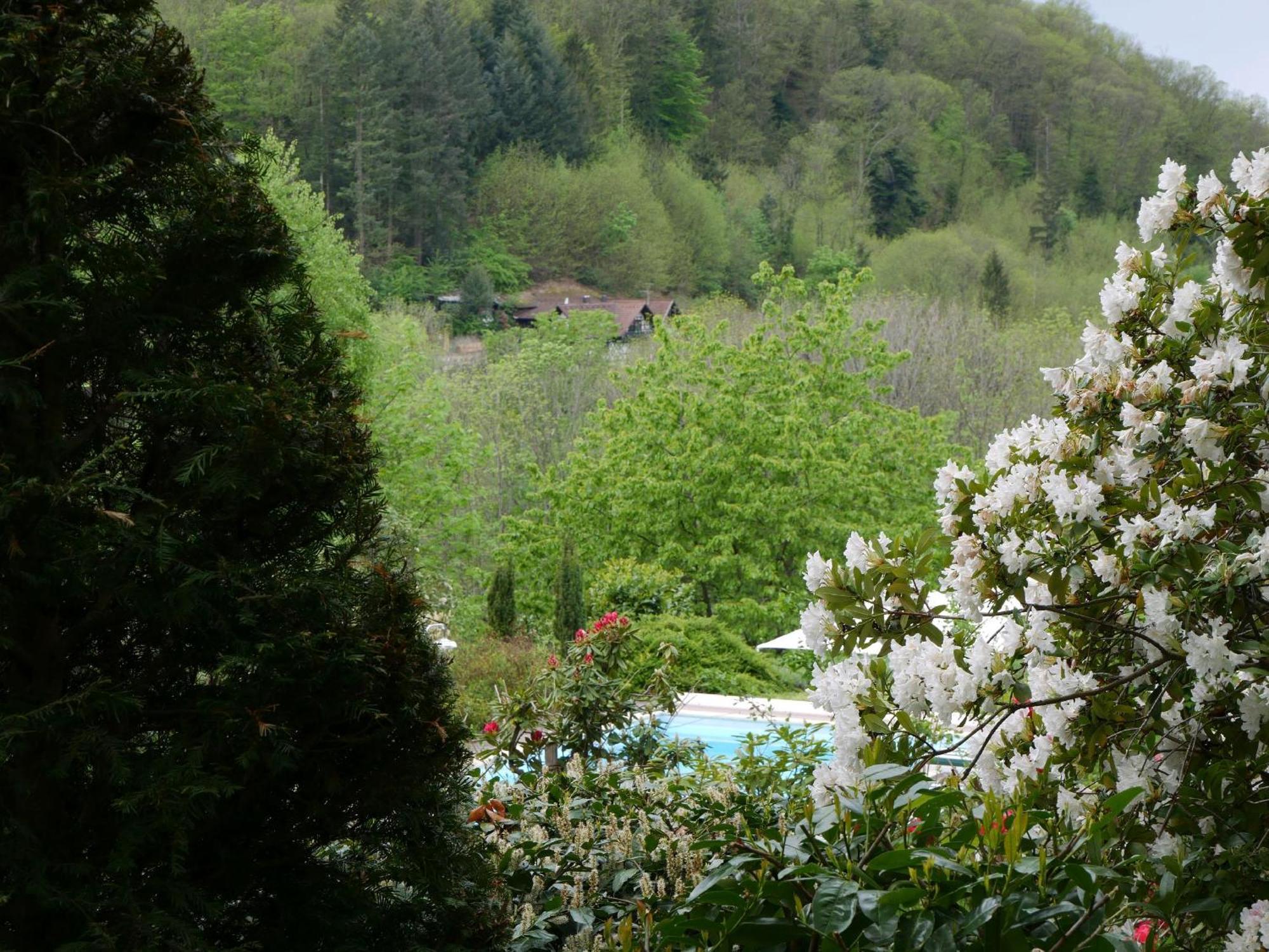 Ferienhaus Straubehof Sasbachwalden Exteriér fotografie